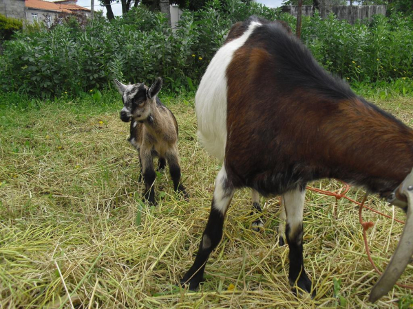 Las mejores ofertas de Quinta Do Riacho Póvoa De Lanhoso