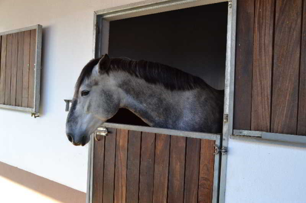 Las mejores ofertas de Solar Do espirito Santo Santarém