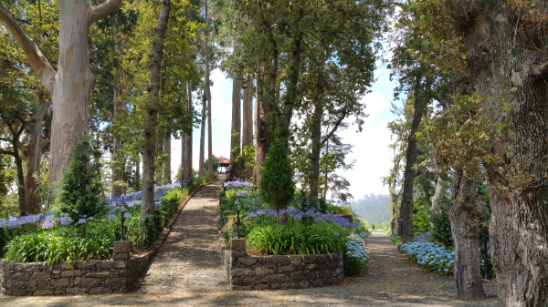 Las mejores ofertas de Hotel Quinta da Serra - Bio Hote Madeirã
