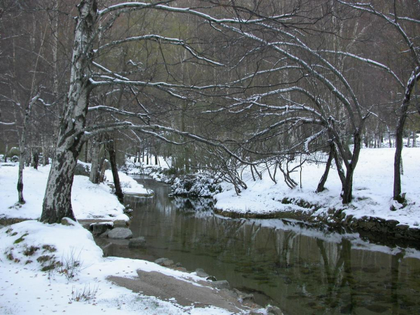 Las mejores ofertas de Albergaria Senhora do Espinheiro Covilhã