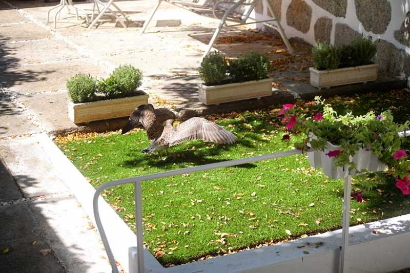 Las mejores ofertas de Charming House Marquês Oporto