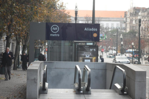 Las mejores ofertas de Girassol Oporto