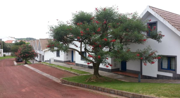 Las mejores ofertas de Apartamentos Turisticos Nossa Senhora Da Estrela Capelas 