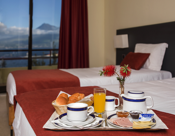 Las mejores ofertas de Horta Horta