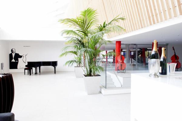 Las mejores ofertas de Hotel da Musica Oporto