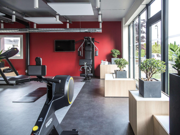 Las mejores ofertas de Ibis Styles Bâle-Mulhouse Airport Mulhouse