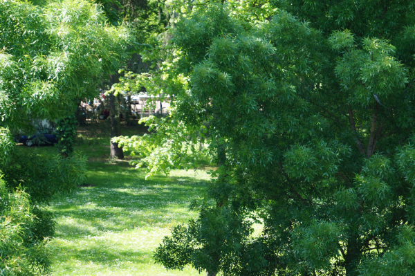 Las mejores ofertas de De Verdun Nevers