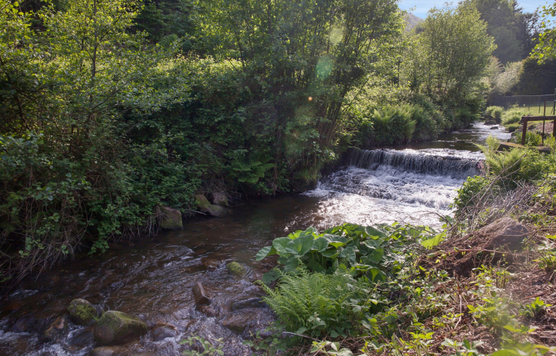 La Fischhutte, The Originals Relais