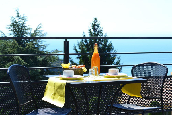 Las mejores ofertas de Eza Vista Nice