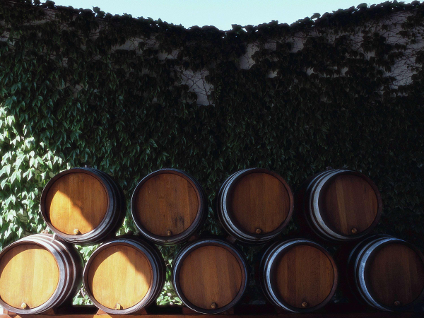 Las mejores ofertas de Novotel Bordeaux Centre Gare Saint Jean Bourdeaux