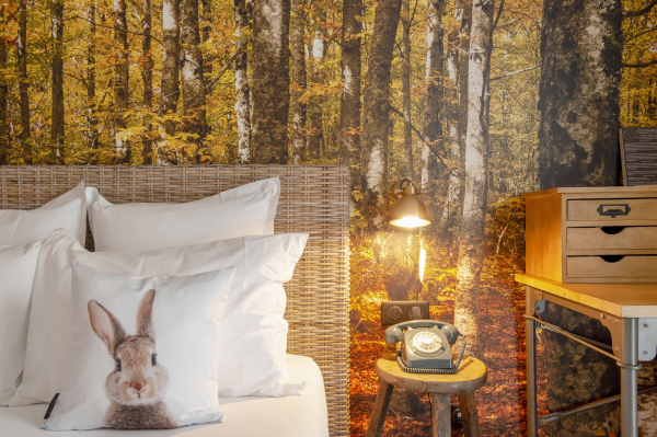 Las mejores ofertas de La Maison Mulhouse Mulhouse 