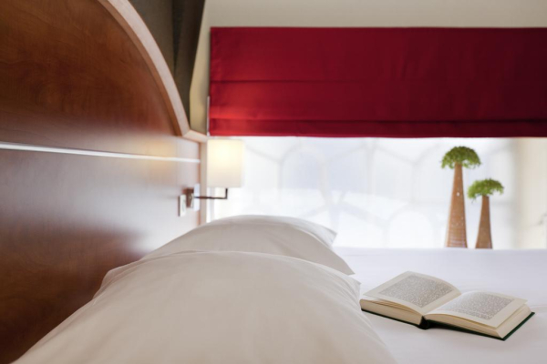 Las mejores ofertas de ibis Styles Colmar Centre Colmar