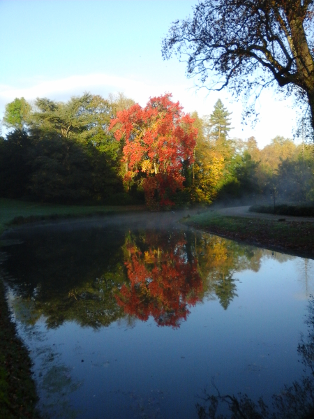Las mejores ofertas de Hotel Chateau D'Esclimont Saint-symphorien-le-château