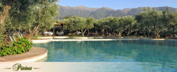 Las mejores ofertas de Oliveraie De Marigha Marrakech