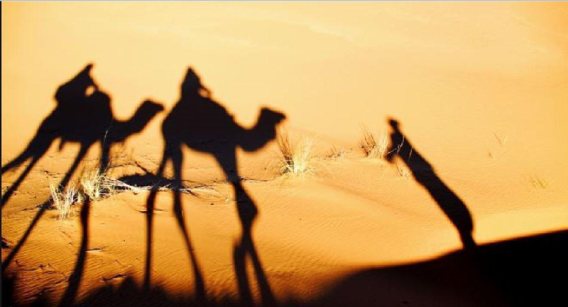 Las mejores ofertas de Bivouac Nahkla Zagora