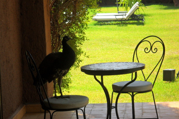 Las mejores ofertas de Dar Tifawine Marrakech