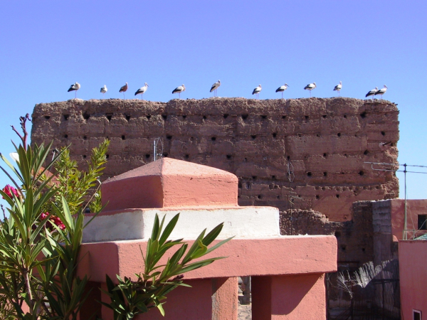 Las mejores ofertas de Riad el Farah Kasbah Marrakech
