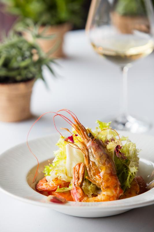 Las mejores ofertas de ACTA ARTHOTEL Andorra La Vella