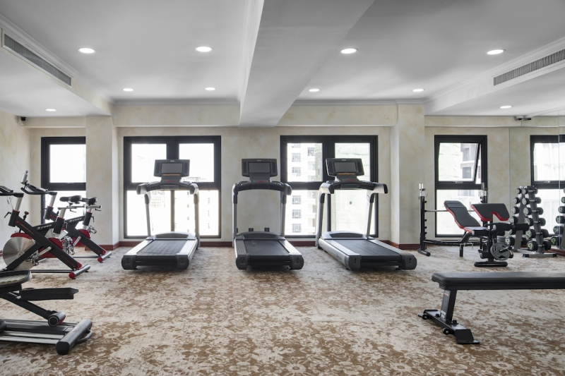 Las mejores ofertas de Anik Palace Hotel Phnom Penh