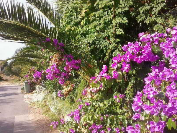 Las mejores ofertas de Apartments Moreta Biograd Na Moru