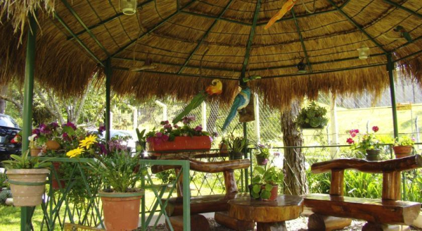 Las mejores ofertas de Hotelaria Refugio Comodo Campos Do Jordão 