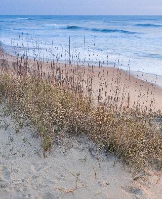 Holiday Inn Express Nags Head Oceanfront