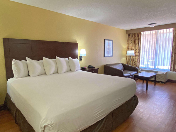 Las mejores ofertas de Best Western Greenville Airport Inn Greenville