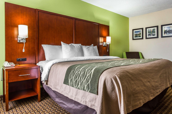 Las mejores ofertas de Comfort Inn Fort Mill Amusement Park At Carowinds  Fort Mill 
