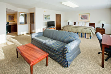 Las mejores ofertas de HOLIDAY INN ANN ARBOR-NEAR THE UNIV. OF MI Ann Arbor 