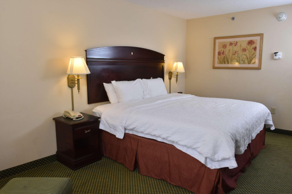 Las mejores ofertas de Hampton Inn Stony Creek/Petersburg Area Stony Creek 