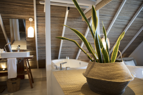 Las mejores ofertas de Preskil Island Resort Mauritius