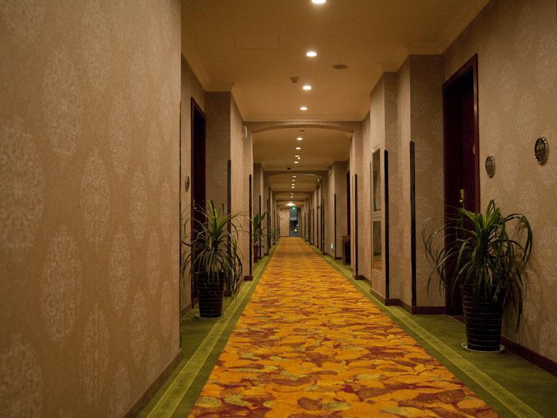 GreenTree Inn Shanghai Minhang Development Zone Subway