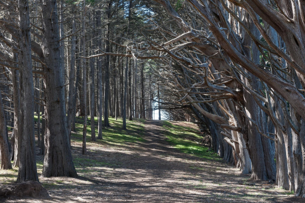 Las mejores ofertas de Seal Cove Inn, A Four Sisters Inn Half Moon Bay