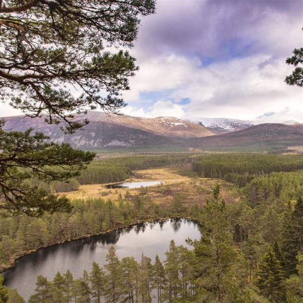 Las mejores ofertas de BOAT HOTEL Aviemore