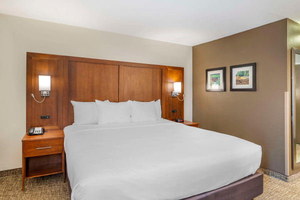 Las mejores ofertas de Comfort Inn Petersburg Near Fort Gregg-Adams Southern Estates