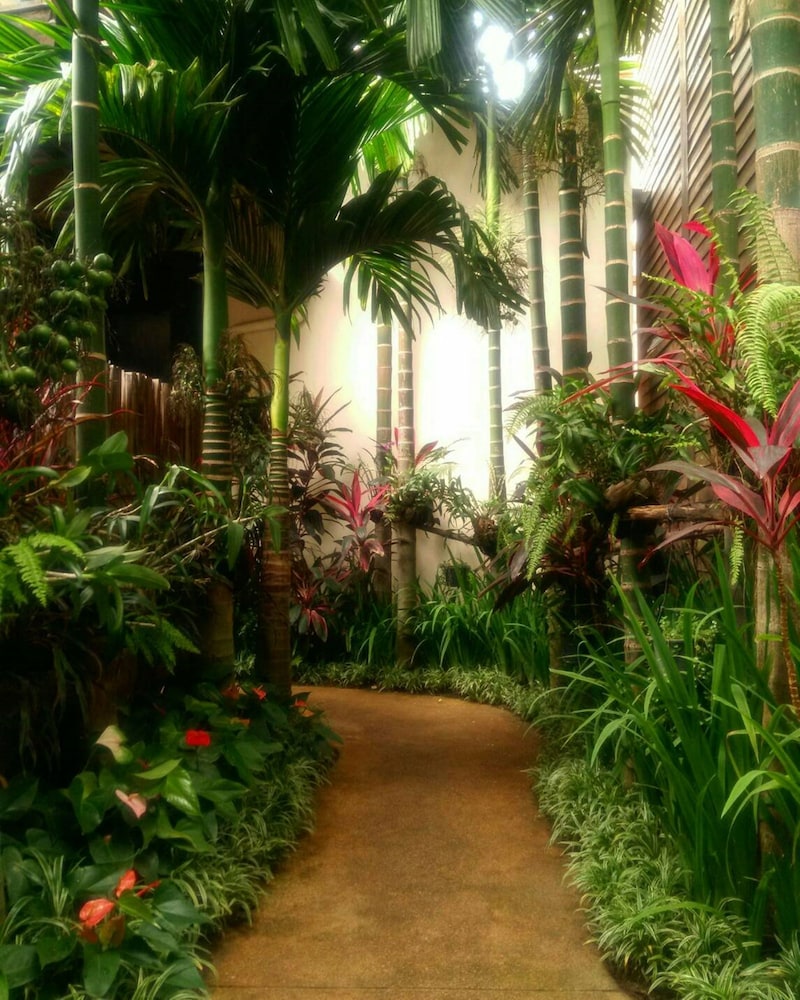 Las mejores ofertas de Viang Thapae Resort Chiang Mai 