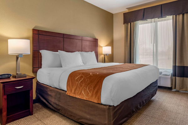 Las mejores ofertas de Comfort Suites Airport South Hope Hull