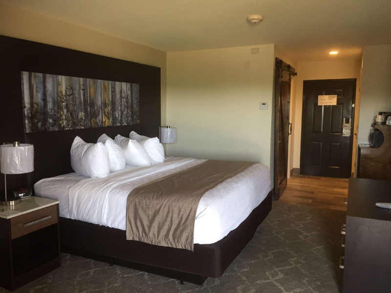 Aiden by Best Western Warm Springs Hotel and Event