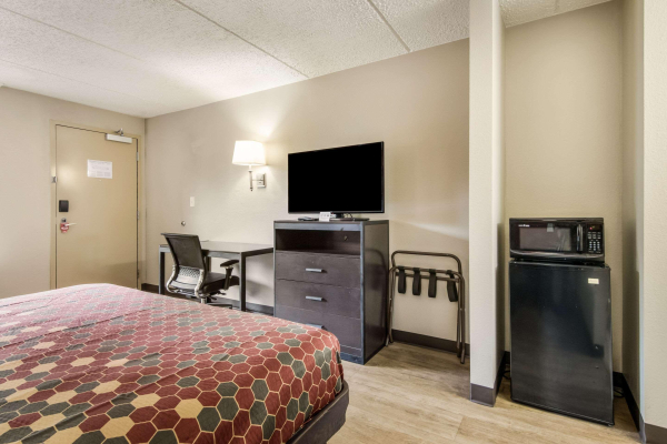 Las mejores ofertas de Conley Conley 