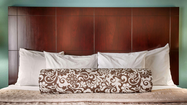 Las mejores ofertas de Best Western Plus Katy Inn & Suites Katy