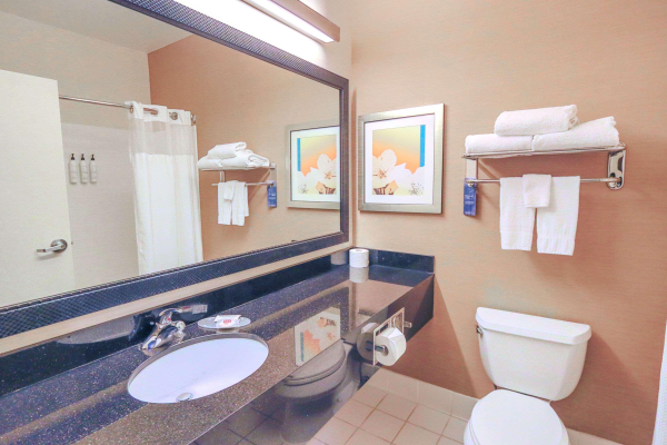 Las mejores ofertas de Comfort Inn & Suites (Houston North) Houston 