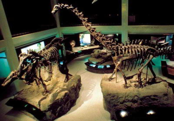 Las mejores ofertas de Residence Inn Houston North Houston 