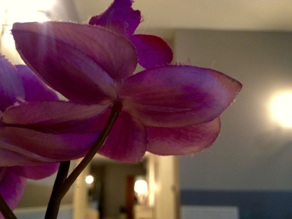 Las mejores ofertas de Hotel Berta Desenzano Del Garda 