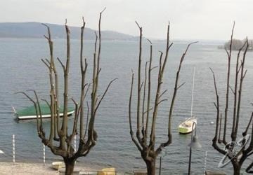 Las mejores ofertas de HOTEL GIARDINO Arona