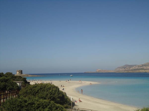 Las mejores ofertas de Cala Rosa Club Hotel Stintino 