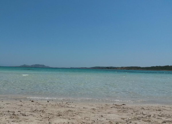 Las mejores ofertas de Hotel Piccada Palau 