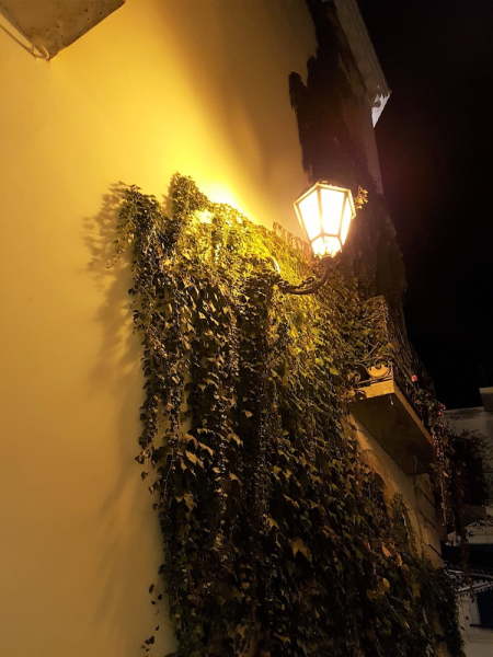 Las mejores ofertas de Hotel San Nicola Altamura