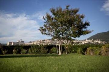 Las mejores ofertas de BELLAVISTA Santa Maria Degli Angeli