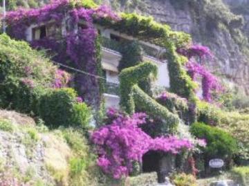 Las mejores ofertas de HOTEL PELLEGRINO Praiano