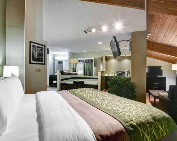 Las mejores ofertas de Comfort Inn Cleveland Painesville